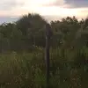jamestucker2593 - @jamestucker2593 - TikTok