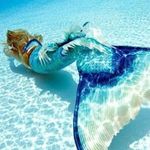 Sandra & James Tuckwell - @socalmermaids - Instagram