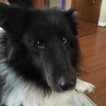 James Tuell - @james.spammmss_ - Instagram