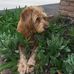 James Tupper - Facebook