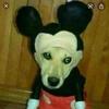 jamesturtle123 - @jamesturtle123 - TikTok