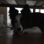 James Turton - @rattus2204 - Instagram