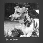 James Turton - @turton_james - Instagram