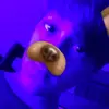 James Ulishney - @james_is_single_ugly_too - TikTok