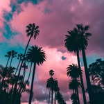 JamesIs14 - @jamesulishney07 - Instagram