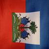 Pitit haïtien for Life🇭🇹 - @jamesulysse5097 - TikTok