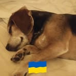 James Uncapher - Facebook