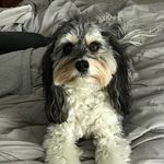 James P Cavachon - @jamespcavachon - Instagram