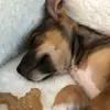 James Vaillancourt - @james.vaillancour - TikTok