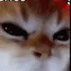 James Vandergriff - @squashy_v - TikTok