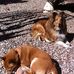 James Vanderheyden - Facebook