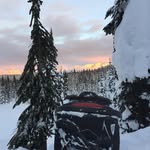 James Van Patten - @jamesvan.patten - Instagram