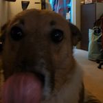 James Ta - @james.van.ta - Instagram