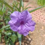 James Venable - @james.venable.5245 - Instagram