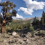 James Vesely - @jmtjunkie - Instagram