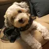 James Marvin Vicentino - @james.marvin.vice4 - TikTok