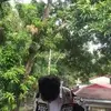 James Vidal - @james.vidal11 - TikTok