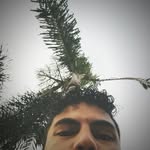 James Coelho - @james_violino - Instagram
