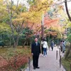 James Voon - @james.voon - TikTok