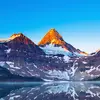 Jamie Voshell - @jamie.voshell - TikTok