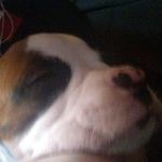 jameswachter - @jameswachter04 - Instagram