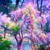Wakat James - Facebook