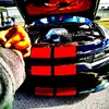 James Walker - @james.walker726 - TikTok
