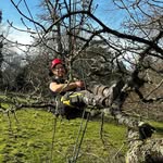 James Wall - @gwedhen_arb - Instagram
