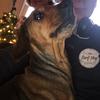 James Wallwork - @jameswallwork61 - TikTok