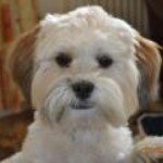 James Wardell Stanforth - @jameswardellstanforth - Instagram