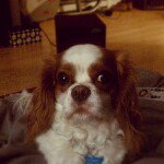 James Wargo - @jwargo504 - Instagram