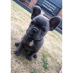 James wass - @wass_james - Instagram