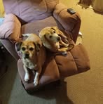 James Watford - Facebook