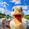 james.watson___ - @therealjameswatson - TikTok