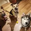 jameswayman55 - @jameswayman55 - TikTok