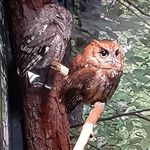 James Fletcher Waynick - @james.waynick.7 - Instagram