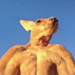 James weaver - @jamie.weav - Instagram