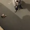 jamesweaver391 - @jamesweaver391 - TikTok