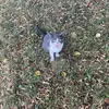 James Webster - @tammy.king329 - TikTok