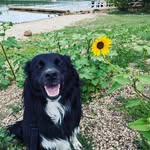 James Webster - @therealjameswebster - Instagram