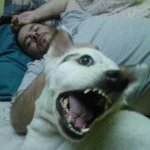 James F Wechsler - @jamesdubb2013 - Instagram