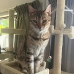 James Wecker - @james_wecker_ - Instagram