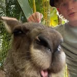 @jamesweeks__ - Instagram