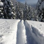 James Weger - @james.weger - Instagram