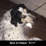 James Weingart - @sufferedtester5_ - Instagram
