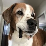 James Weingarten - @jamesweingarten - Instagram