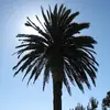 jamesweingarten - @jamesweingarten - TikTok