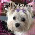 Jim Weisgerber - Facebook