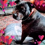 James Wentz Jr - @rjblucille - Instagram
