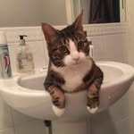 James Wenzel - @james_wenzel - Instagram